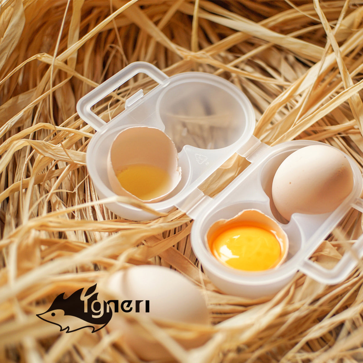 Igneri little hedgehog outdoor camping picnic egg box two egg trays divided bottled oil pot